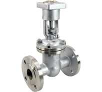 Задвижка клиновая DN.ru 30нж964нж Ду100 Ру25 фланцевая стальная, выдвижной шпиндель D040-03782