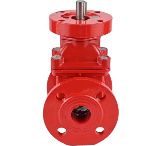 Клиновая задвижка DN.ru 30ч939р GGG50-EPDM-F4-RED Ду300 Ру10 фланцевая под электропривод D040-04158