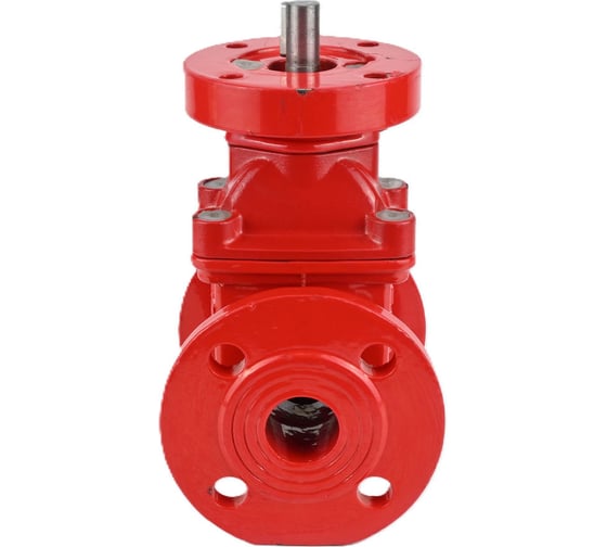 Клиновая задвижка DN.ru 30ч939р GGG50-EPDM-F4-RED Ду300 Ру10 фланцевая под электропривод D040-04158