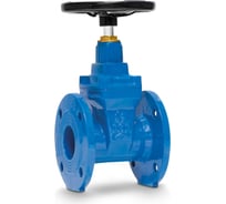 Задвижка с обрезиненным клином FAF 6000 ду125 ру16 чугунная фланцевая D040-01521