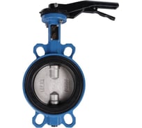 Дисковый затвор Tecofi чугун ду100 ру16 ep д/нерж RG008U8AMJK0CV