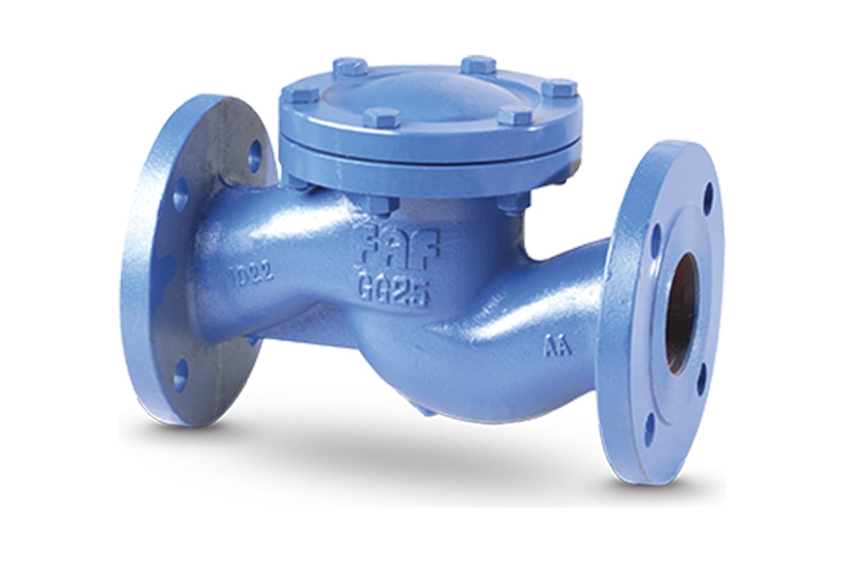 Обратный клапан FAF подъемный 2250 ду20 ру16 чугунный фланцевый D100 ...