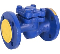 Обратный клапан Zetkama подъемный, чугун, ду25 ру16 фл tmax=300 RG008U8ALB45R3