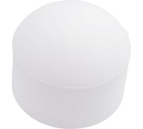 Заглушка PRO AQUA PP-R Белая d-25 мм PA15010Pb