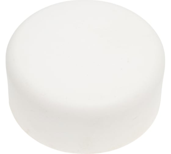 Заглушка PRO AQUA PP-R Белая d-90 мм PA15022Pb