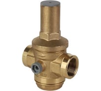Регулятор давления поршневой с выходом под манометр MVI 1 1/2" SE.755.08