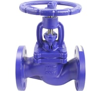 Клапан запорный сальниковый DN.ru 215A Ду300 Ру16 чугунный, фланцевый D090-00706