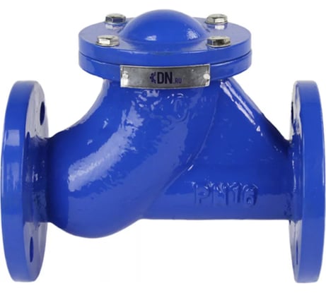 Клапан обратный шаровой DN.ru GGG50-GGG50-БНК-бс Ду100 Ру16 фланцевый, чугунный D100-02425