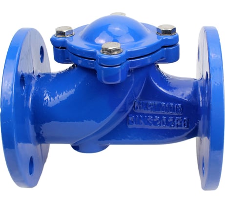 Клапан обратный шаровой DN.ru GGG50-GGG50-БНК-бс Ду300 Ру16 фланцевый, чугунный D100-02452