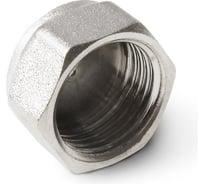 Заглушка PRO AQUA PA BР резьбовая 1 09-F25x