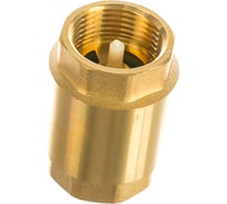Обратный клапан с пластиковым диском PRO AQUA В-В 1 CVL-F25-F25X