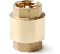 Обратный клапан с пластиковым диском PRO AQUA В-В 1/3 CVL-F15-F15X