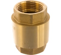 Обратный клапан ELSEN пружинный, универсальный, 1", ВВ, PN EV41.1010