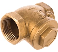 Обратный клапан ELSEN дисковый, горизонтальный, 1", ВВ, PN, бар-10 EV42.1010