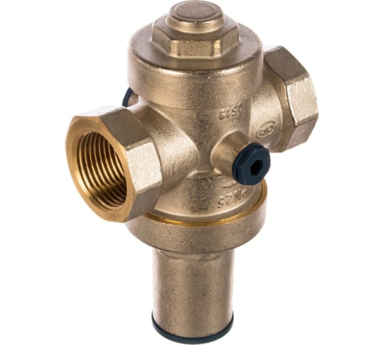 Поршневой редуктор давления ELSEN 1", В EPR02.1010