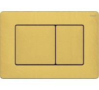 Клавиша CTESI Steel (брашированное золото) BK0202140/1