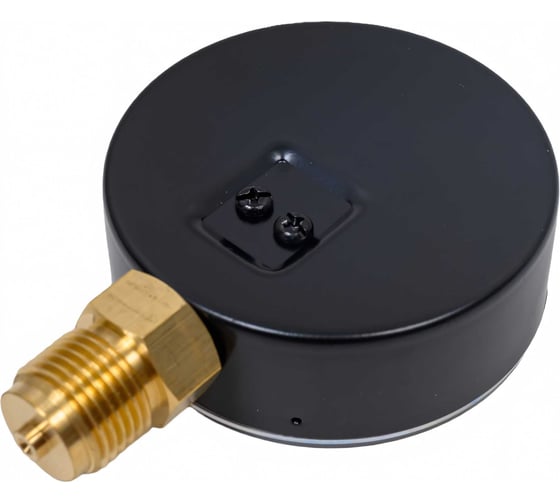 Манометр ROMMER радиальный корпус dn 80 мм 1/2", 0...10 бар, кл.2.5 rim-0010-801015 RG00929SFN4ONL