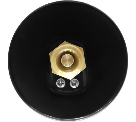 Термоманометр аксиальный MPF 6 Бар, 120 гр., 1/2" нар. резьба ИС.161748