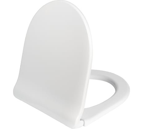 Сиденье для унитаза IDDIS полипропилен, Soft Close, 006, 006PPSCi31