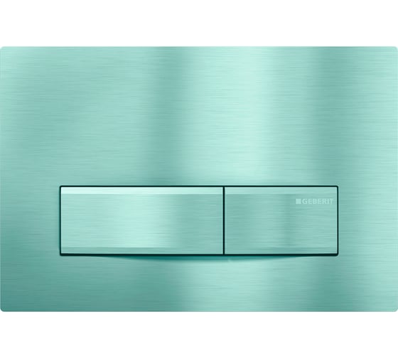 Клавиша GEBERIT 115.788.GH.5 Sigma 50 двойной смыв 00000031371 1