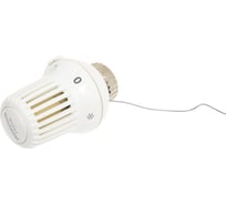 Термоголовка Honeywell с жидкостным, с нулевой отметкой, 2 м T600120W0