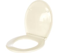 Сиденье для унитаза c крышкой Duravit DURAPLUS Soft Close 0064190096 00000042887