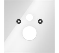 Стеклянная панель TECE ТЕСЕlux для установки стандартного унитаза 9650100