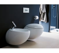 Сиденье для унитаза Laufen soft close 9297.1.000.000.1, 00000047435