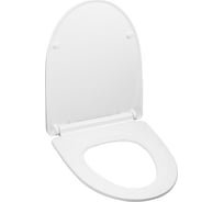 Сиденье для унитаза AV Engineering ELITE AVWHR209C