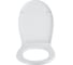 Сиденье из полипропилена IDDIS микролифт (soft-close), 004 004PPS3i31 7