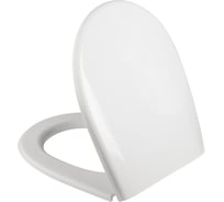 Сиденье из полипропилена IDDIS микролифт (soft-close), 005 005PPS3i31