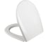Сиденье из полипропилена IDDIS микролифт (soft-close), 005 005PPS3i31 1