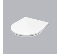 Сиденье для унитаза AM.PM Spirit V2.0 slim, микролифт C707857WH