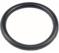 Кольцевая прокладка Baxi d.9.19x2.62 710045700
