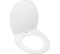 Сиденье для унитаза AV Engineering ARCO AVWHR210C