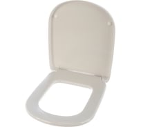 Крышка-сиденье с микролифтом Ideal Standard Tempo петли пластик T679301