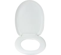 Сиденье для унитаза Сантис с микролифтом soft close 816 018959