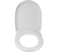 Сиденье для унитаза Сантис с микролифтом soft close 868 018958