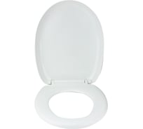 Сиденье для унитаза Сантис с микролифтом soft close 851 012101