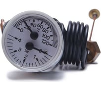 Термоманометр Baxi для ЕСО 8922380