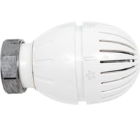 Термостатическая головка Giacomin R 470 H с жидкостным датчиком, М30х1.5 R470HX001