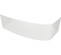 Фронтальная панель AM.PM Like 170х110 см, универсальная W80A-170U110W-P