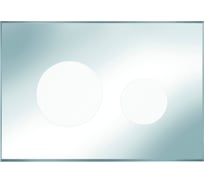 Лицевая панель TECE TECEloop для панели смыва унитаза 9240683