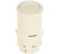 Термостат RAX DANFOSS с жидкостным заполнением, белый 013G6070