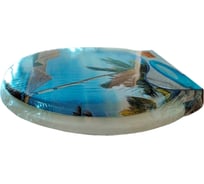 Сиденье для унитаза  Мультипласт Групп мягкое с рисунком, райское место MPG8621