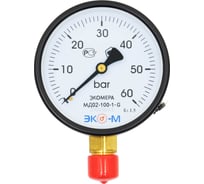Манометр экомера ЭКО-М мд02-100мм, 0..60бар, g1/2, МД02-100-G-60