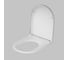 Сиденье для унитаза-компакта AM.PM Inspire микролифт C507854WH 4