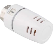 Термостат GUARDO Purmo белый Evosence