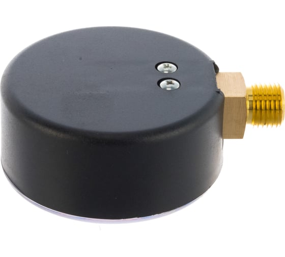 Манометр Watts F+R200 радиальный 0-6bar, корпус 63mm 10007723