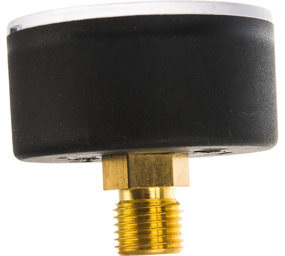 Аксиальный манометр Watts F+R100 0-6 bar, корпус 50 мм 10008092